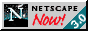 NETSCAPE.GIF (7687 bytes)